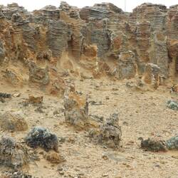 Petrified forest - they do sort of look like trees