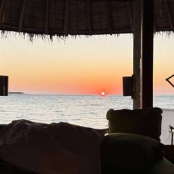 Our morning "alarm".