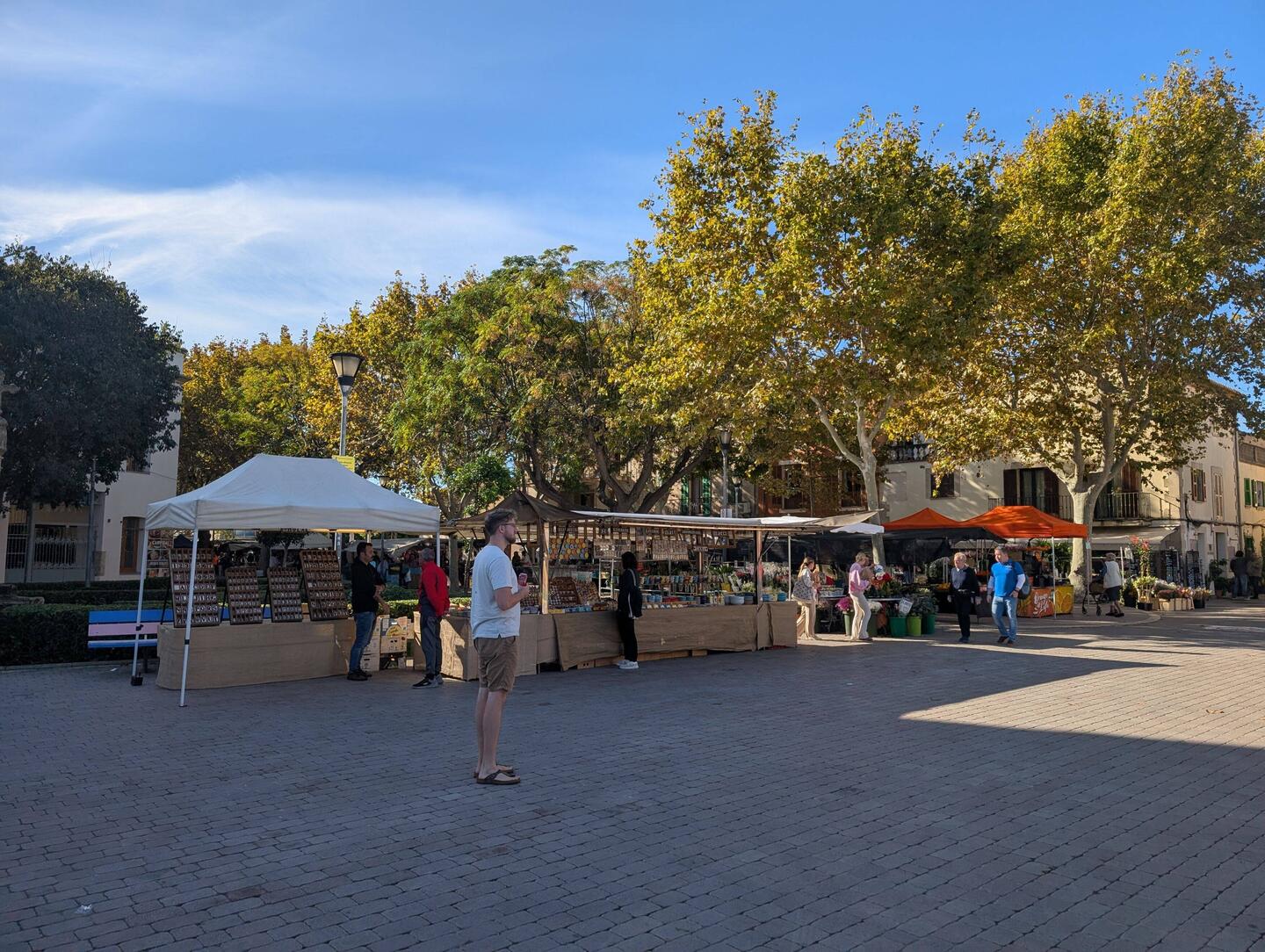 Markt von Alcudia
