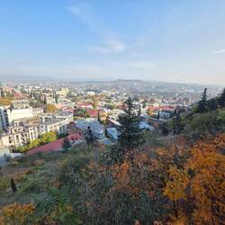 Autumn colours, summer weather