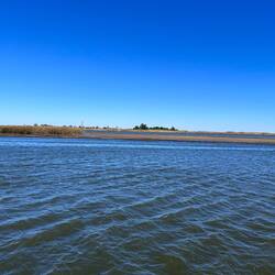 From our mooring - low tide on a cold, blustery day