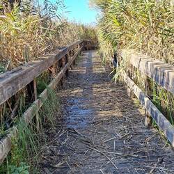 La rota: postazione di osservazione ornitologica