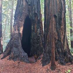 Zwei Zimmer Küche Bad