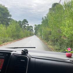 ..ein kleiner Spaziergang mit Lesley ging sich schnell aus..