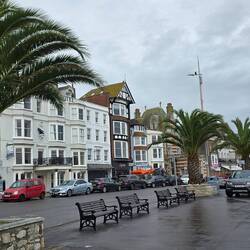 Sogar Palmen gedeihen hier, dank des Golfstroms.