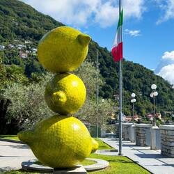 Lemons grow in the area thanks to the temperate weather — Cannero Riviera, Italy.