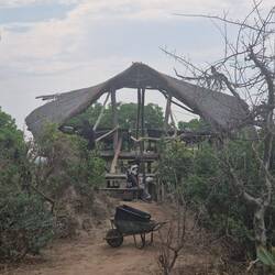 Plattform neben unserem Zelt war in Reparatur, die Elefanten hatten sich am Vortag angelehnt