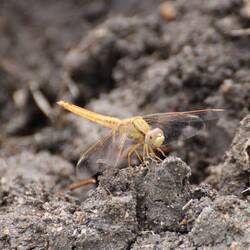 Auch an die Kleinsten habe ich gedacht