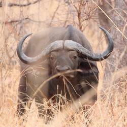 Herzliche Begrüßung