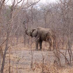 Für seine Kumpels war ich zu langsam