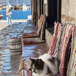 Seats for cafe patrons