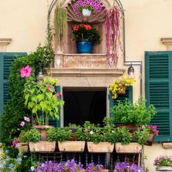 Colorful floral display — Cannobio, Italy.