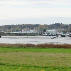 River View walk; view of Woodbridge over the River Debden