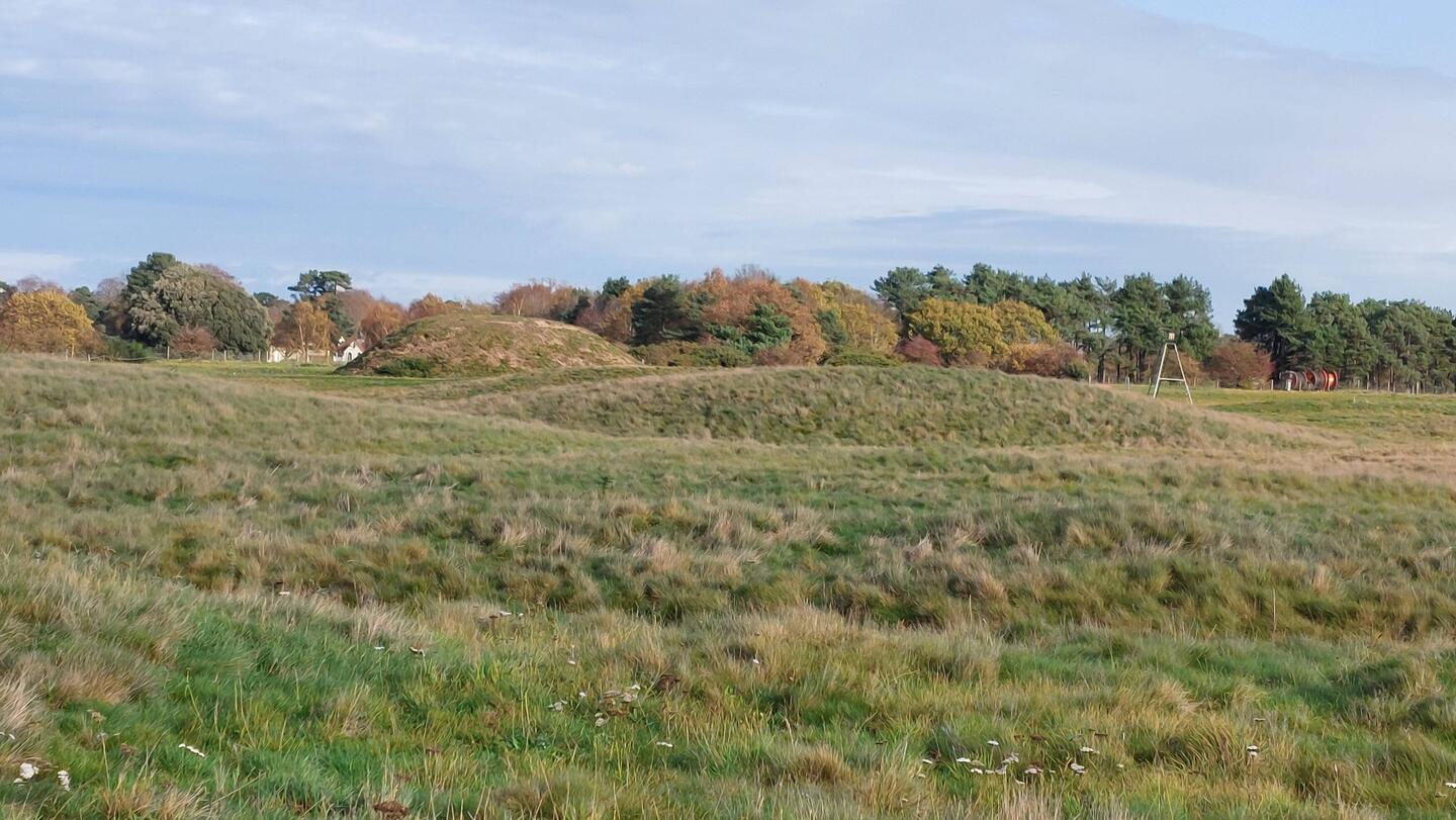 Sutton Hoo; The Royal Burial Ground (from ground level)
