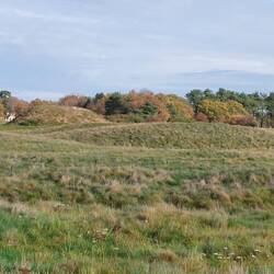 Sutton Hoo; The Royal Burial Ground (from ground level)
