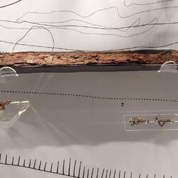 High Hall exhibition; sword