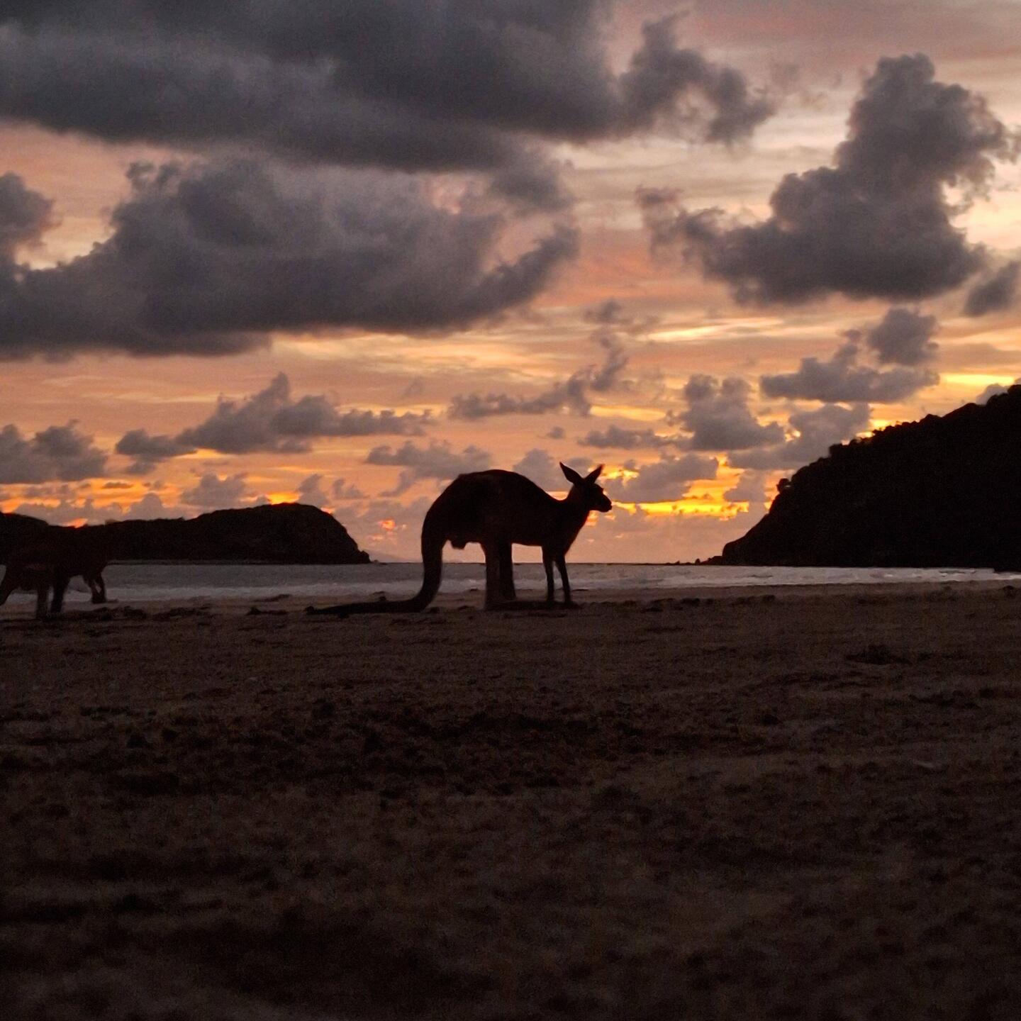 04.45 Uhr am Cape Hillsborough