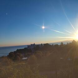 Morgenstimmung vom Bett aus