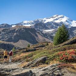 Klare Luft, herbstliche Farben - in Hintermartell