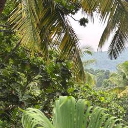 Gorgeous scenery surrounding us