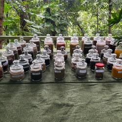 Ayurveda herbs n spices