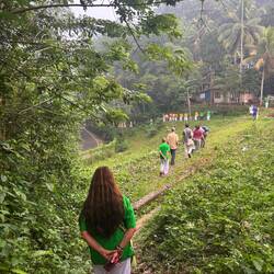 Walkers walkers walkers