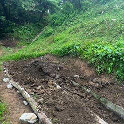 Cow dung drying and later burning