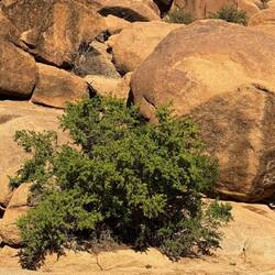 ... schnell noch Steine aus dem Weg räumen 🤔