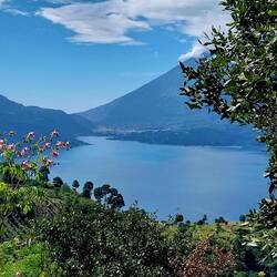 Blick von der Straße auf den See