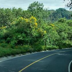 So eine gute, schöne Straße