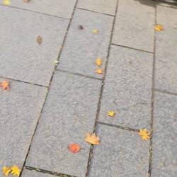 These f*ck**g bear bells