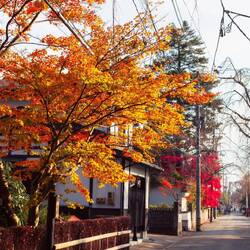 Streets of Kakunodate