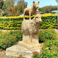 Tussendoor een bezoekje aan een Kelpie centrum