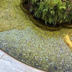 Die Menschheit (genauer: der glaubende Mensch) hat zu viel Geld und schmeisst's einfach ins Wasser.