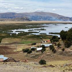 A coast with reeds this time