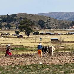 Unmechanised farming