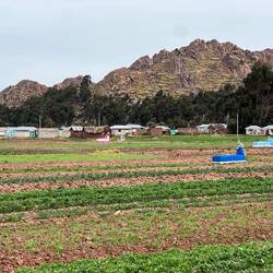 In this area there are graves in the fields, often painted blue