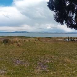 The fertile Lake shores are largely occupied by agriculture.