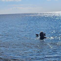 Ich war sogar im Wasser🥰