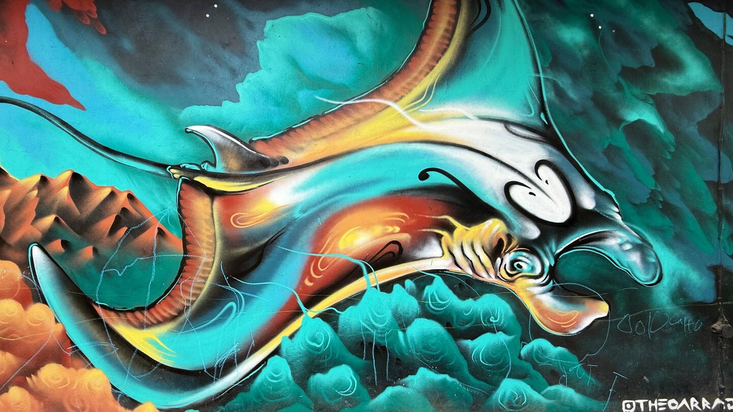 Manta Ray mural on the side of a shop in Nusa Penida