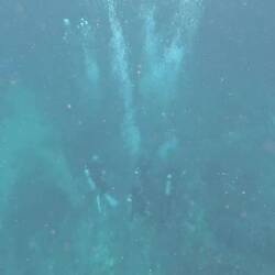 The wall of bubbles created by divers: each plume belonging to a diver below