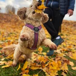 Der Grund, wieso wir uns auch tierisch auf zu Hause gefreut haben