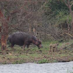 Ungewöhnliche Kombination
