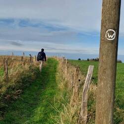 Unterwegs auf dem W, "Rund um Wuppertal"