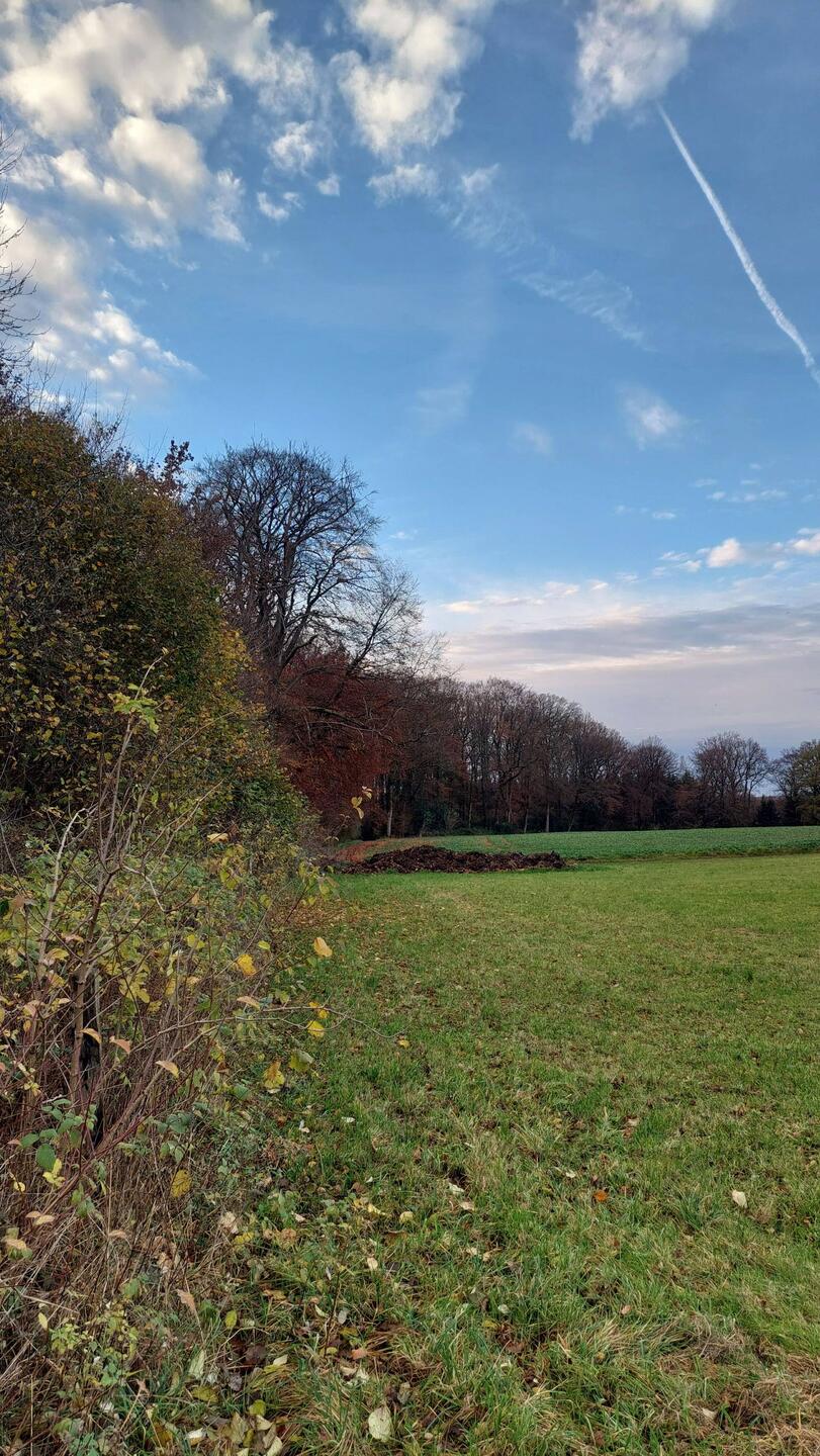 13. November und 18° im Bergischen Land!😎