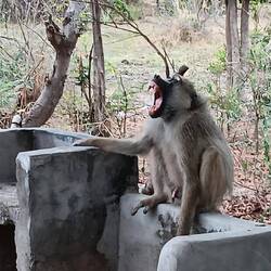 Früüüühstück, sonst....🤣