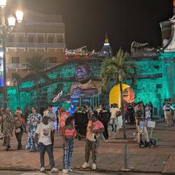 Die Grünen sind empört