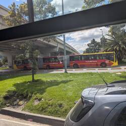 Ja, das ist ein Doppelgelenkbus