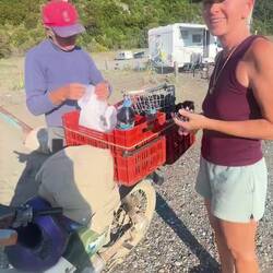 ..wir kaufen Trauben und Traubensaft..