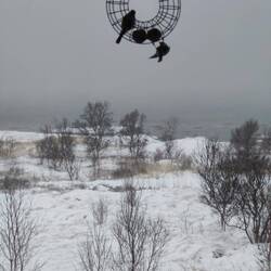 Trotz Sturm sind sie dabei